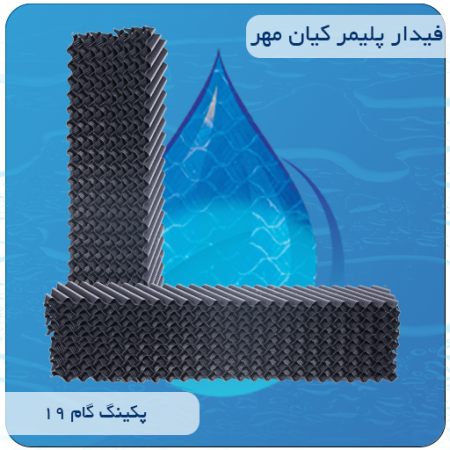 پکینگ گام 19